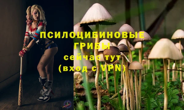 хмурый Абинск
