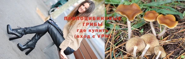 дурь Северо-Курильск