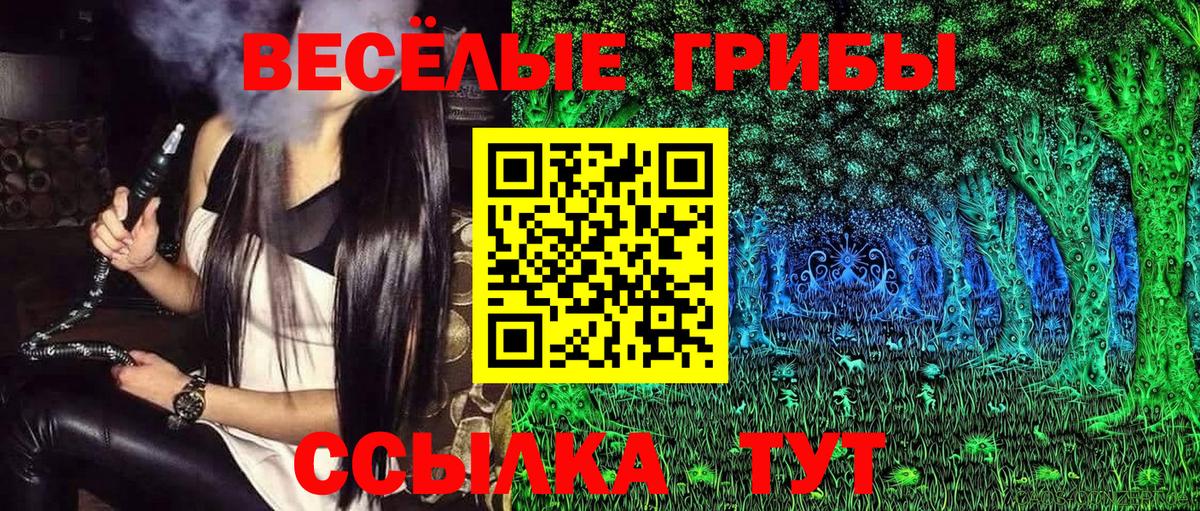 Псилоцибиновые грибы мицелий Усть-Кут