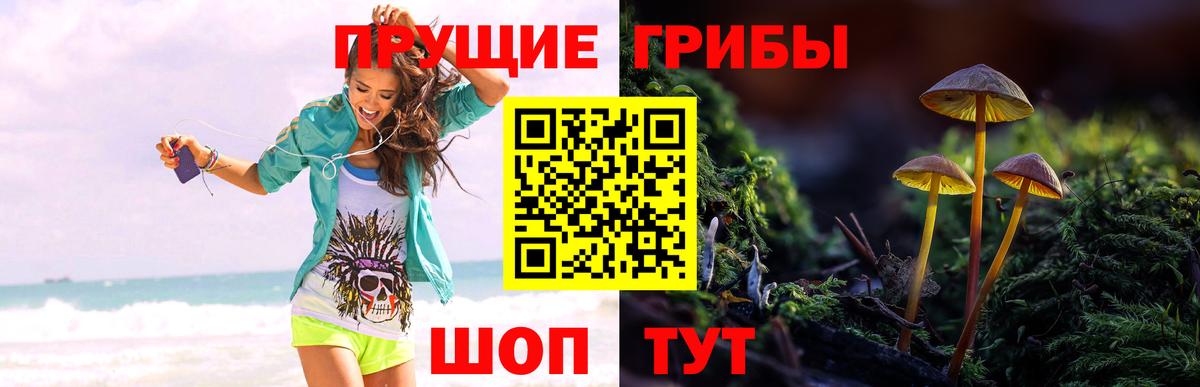 Галлюциногенные грибы Magic Shrooms  Вход с VPN  Галлюциногенные грибы мухоморы  Усть-Кут 