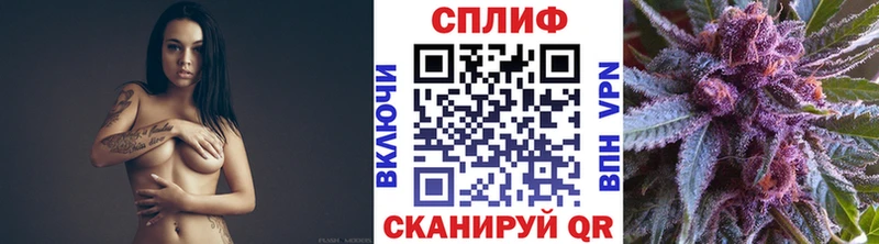 где купить наркотик  Усть-Кут  Шишки марихуана гибрид 